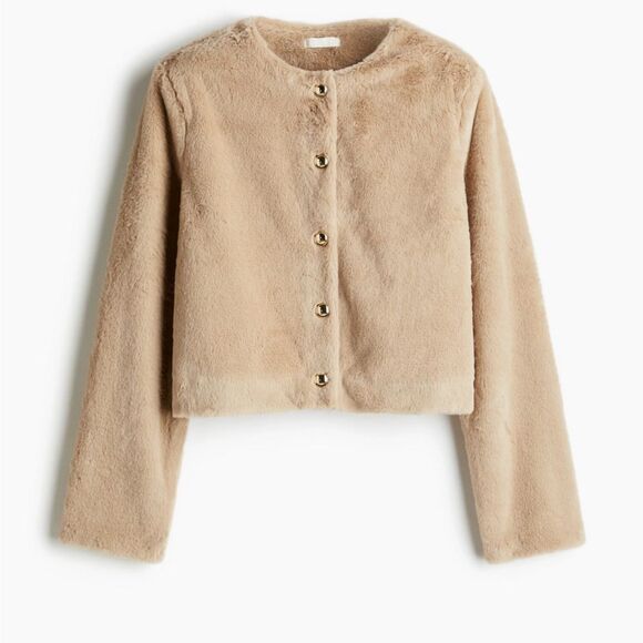 H&M Jackets & Blazers - H&M faux fur Teddy Jacket with Gold Buttons